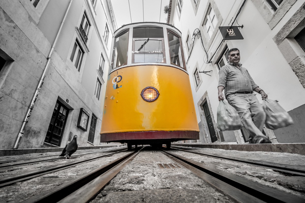 O Amarelo da Bica