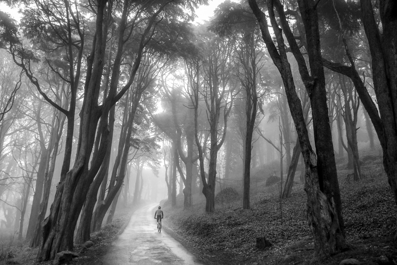 Cycling to the Light