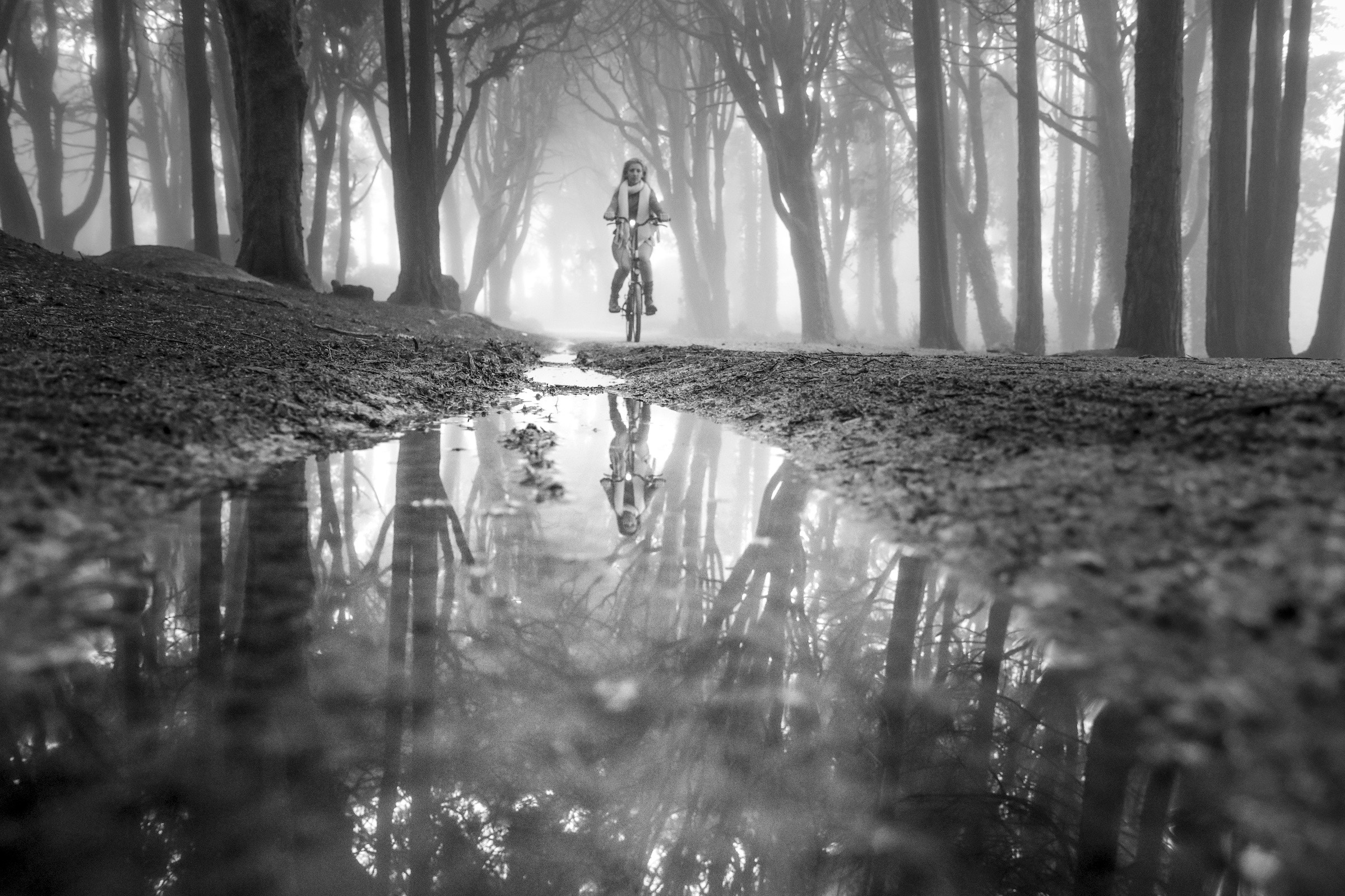 I Saw You in my Dreams